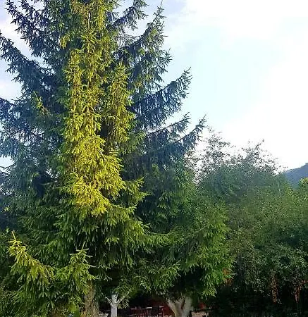 Ranch Pljesevica בית נופש Bihać