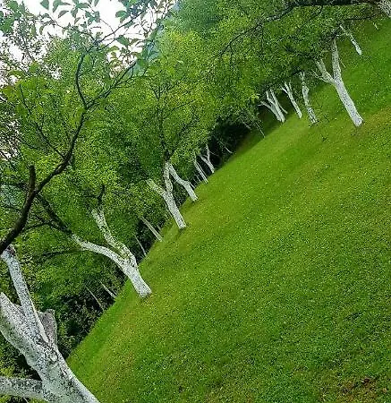 Ranch Pljesevica בית נופש *