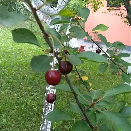 בית נופש Ranch Pljesevica