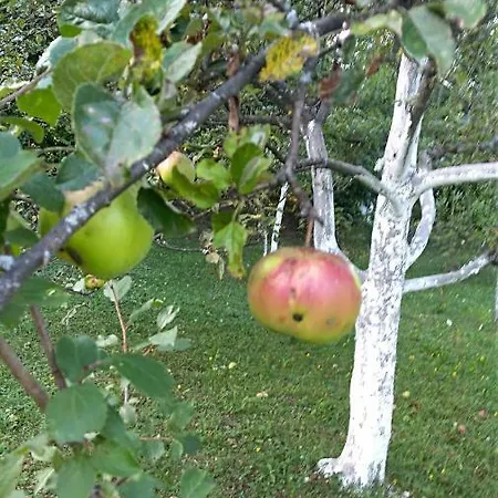 Ranch Pljesevica בית נופש