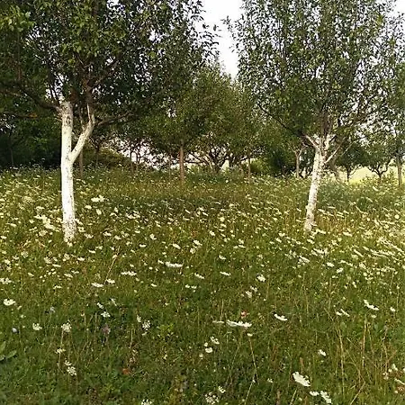 בית נופש Ranch Pljesevica Bihać